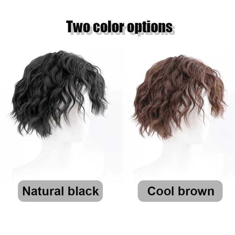 Black Short Synthetic Wig for Men