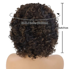 Natural Mix Brown Afro Wig