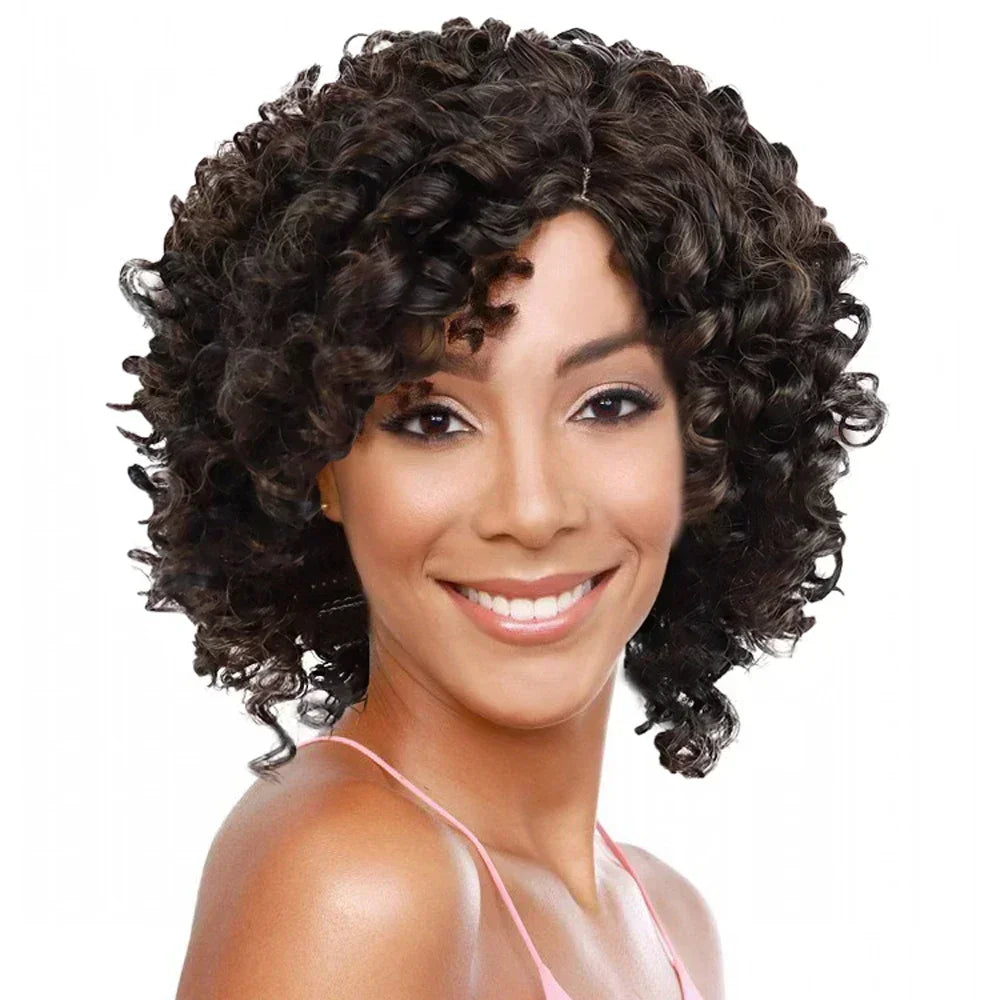 Natural Mix Brown Afro Wig